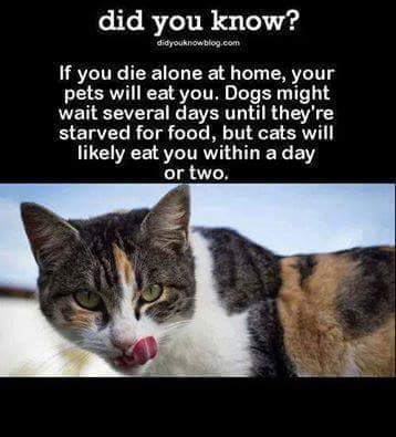 fb_img_1475680778341